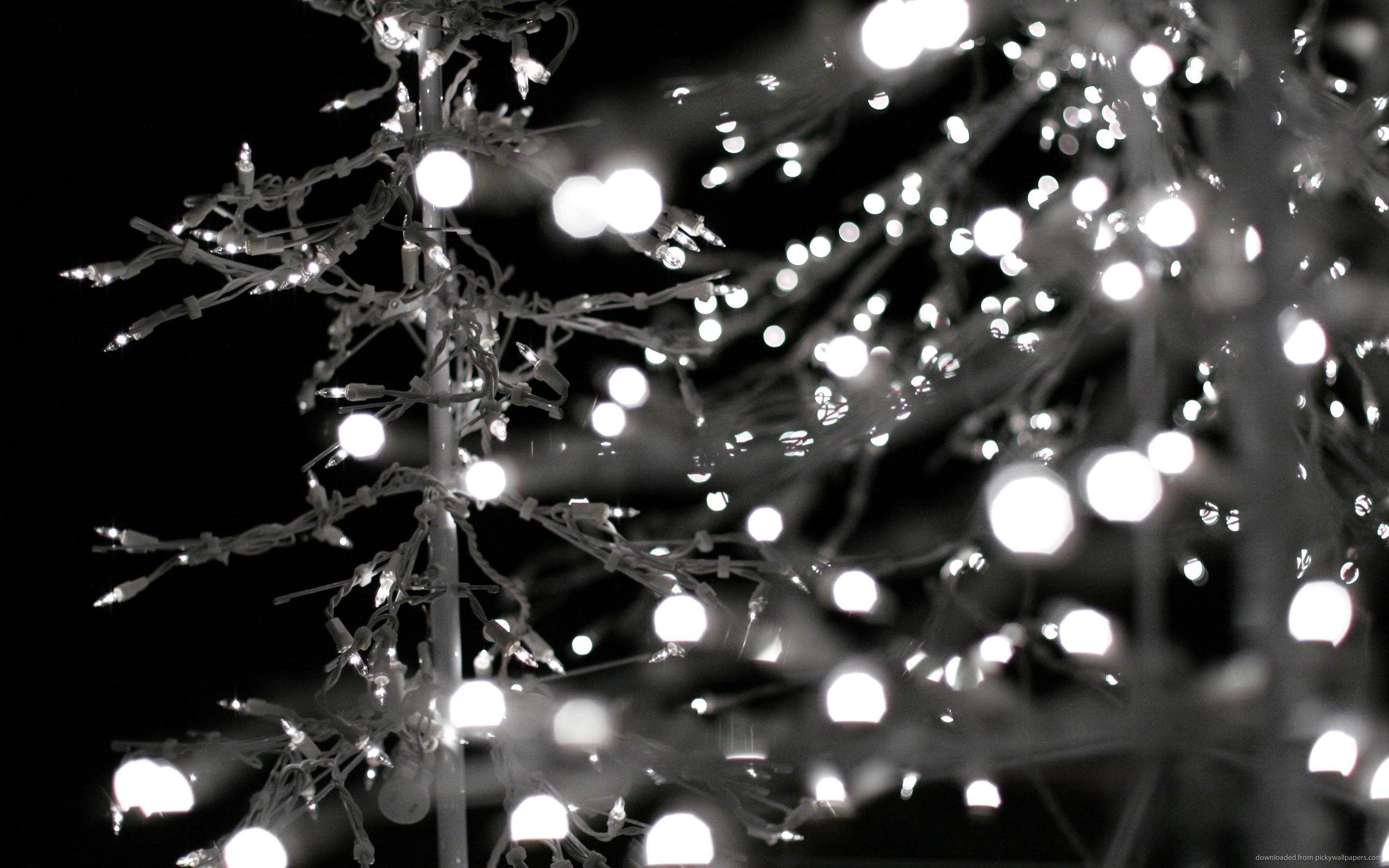 2560x1600 Christmas Lights Background