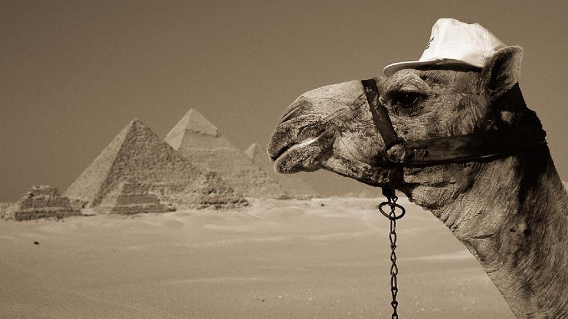1920x1080 Egypt Wallpaper HD
