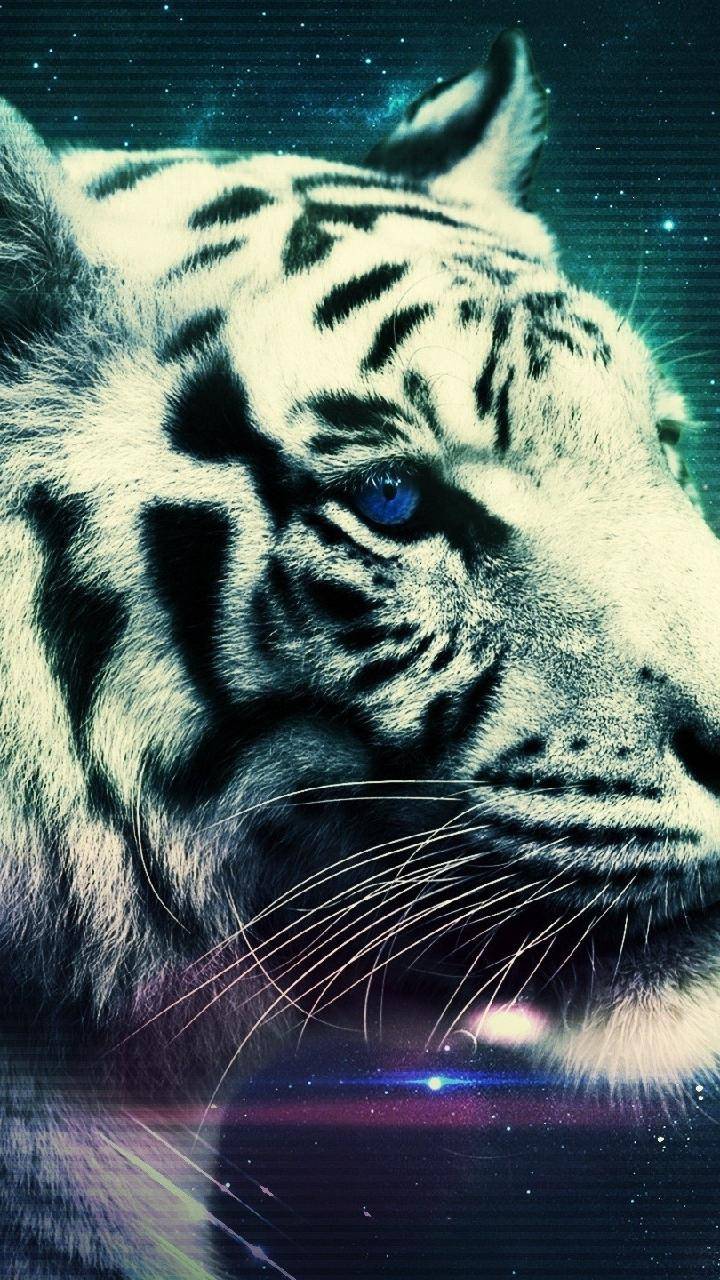 720x1280 Majestic tiger wallpaper