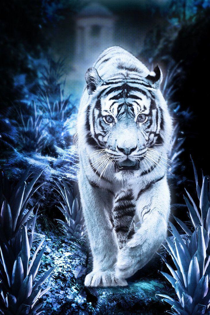 730x1095 Tyger, Tyger by *violscraper. Tiger image, Tiger picture, Majestic animals