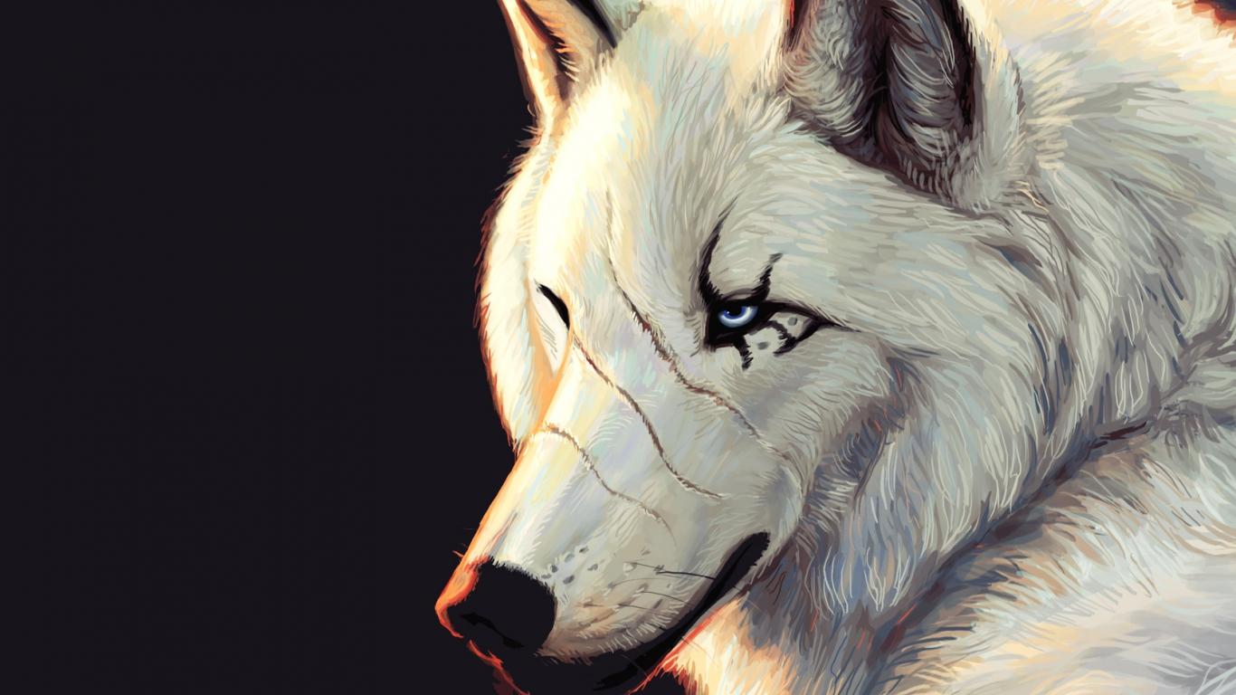 1366x768 Moving Wolf Wallpaper