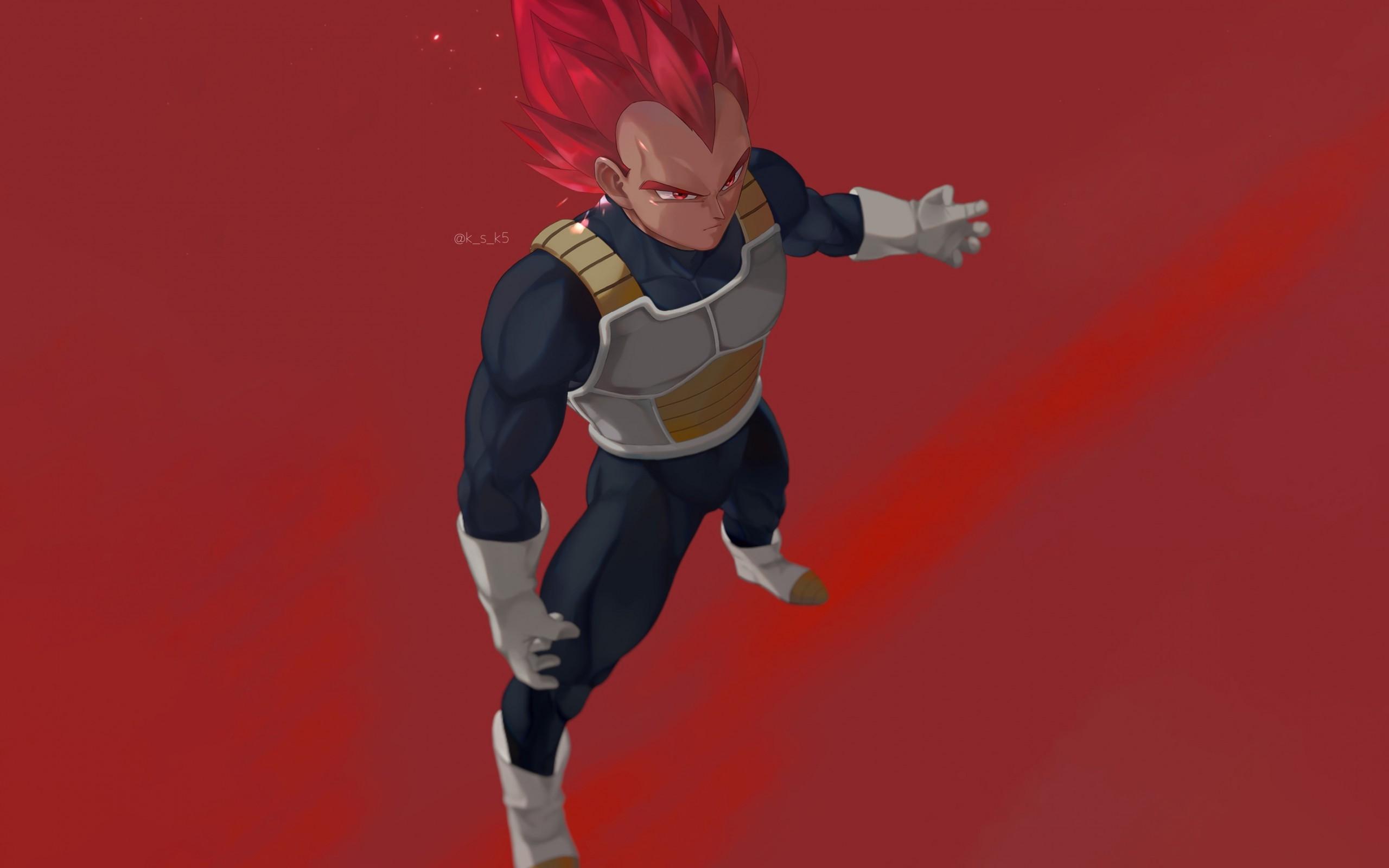 2560x1600 Dragon Ball Super, Vegeta, Super Saiyan God Super Sayan Wallpaper iPhone