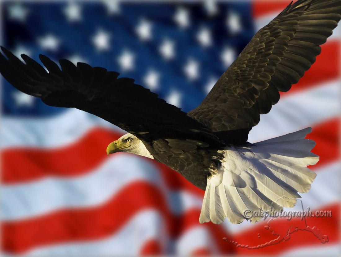 1100x827 Eagles and Flags. Eagle&Flag6. Bald eagle, Eagle wallpaper, Alaska photography