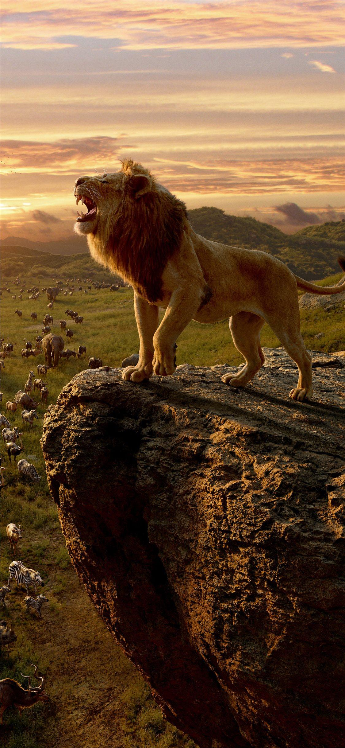 1125x2436 Lion Wallpaper HD iPhone 11 HD Wallpaper