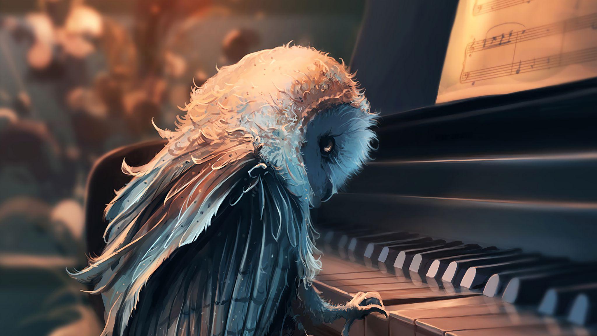 2048x1152 Owl Playing Piano HD Wallpaper