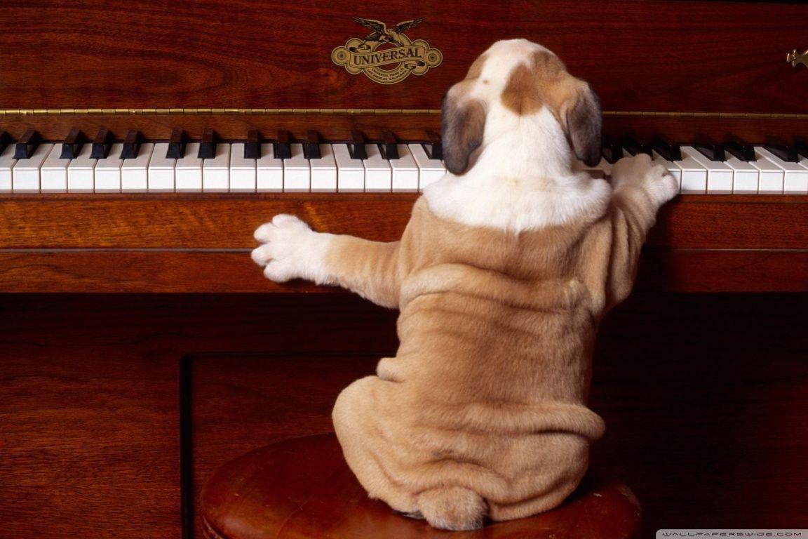 1152x768 Piano Desktop Wallpaper