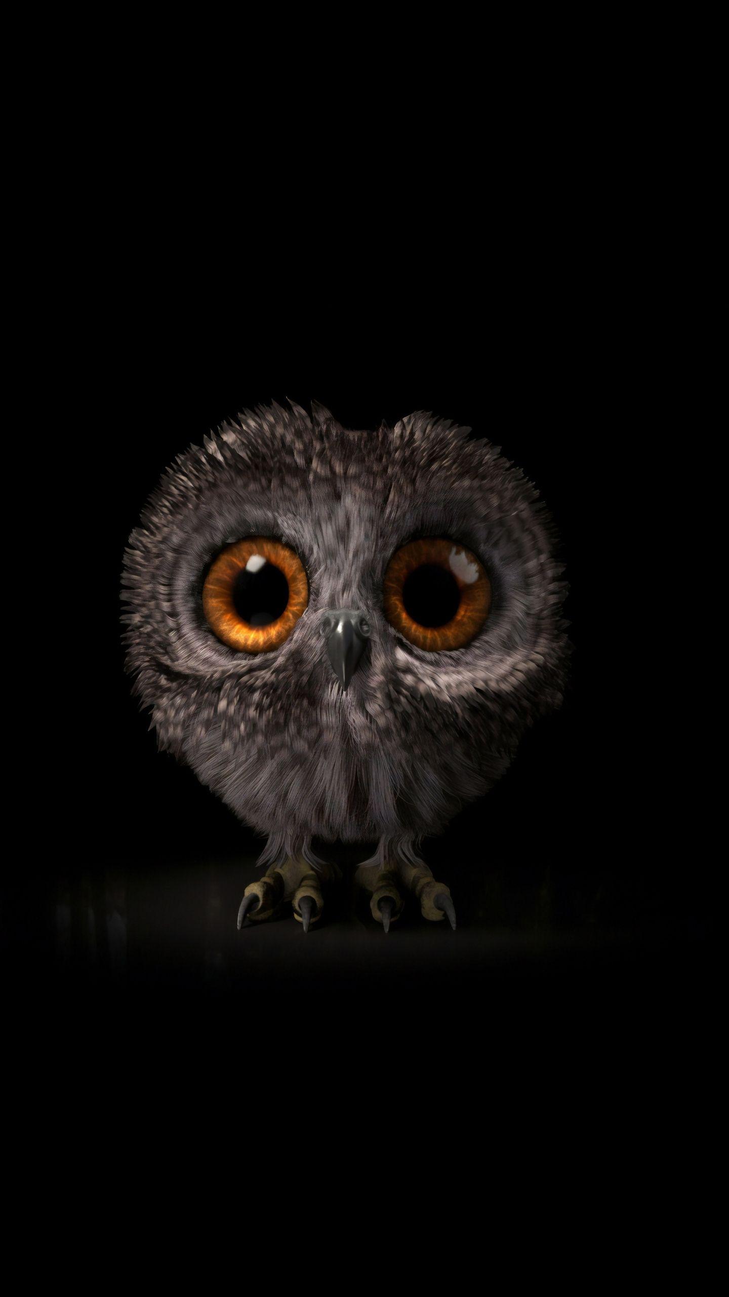 1440x2560 Cute Owl Wallpaper For iPhone