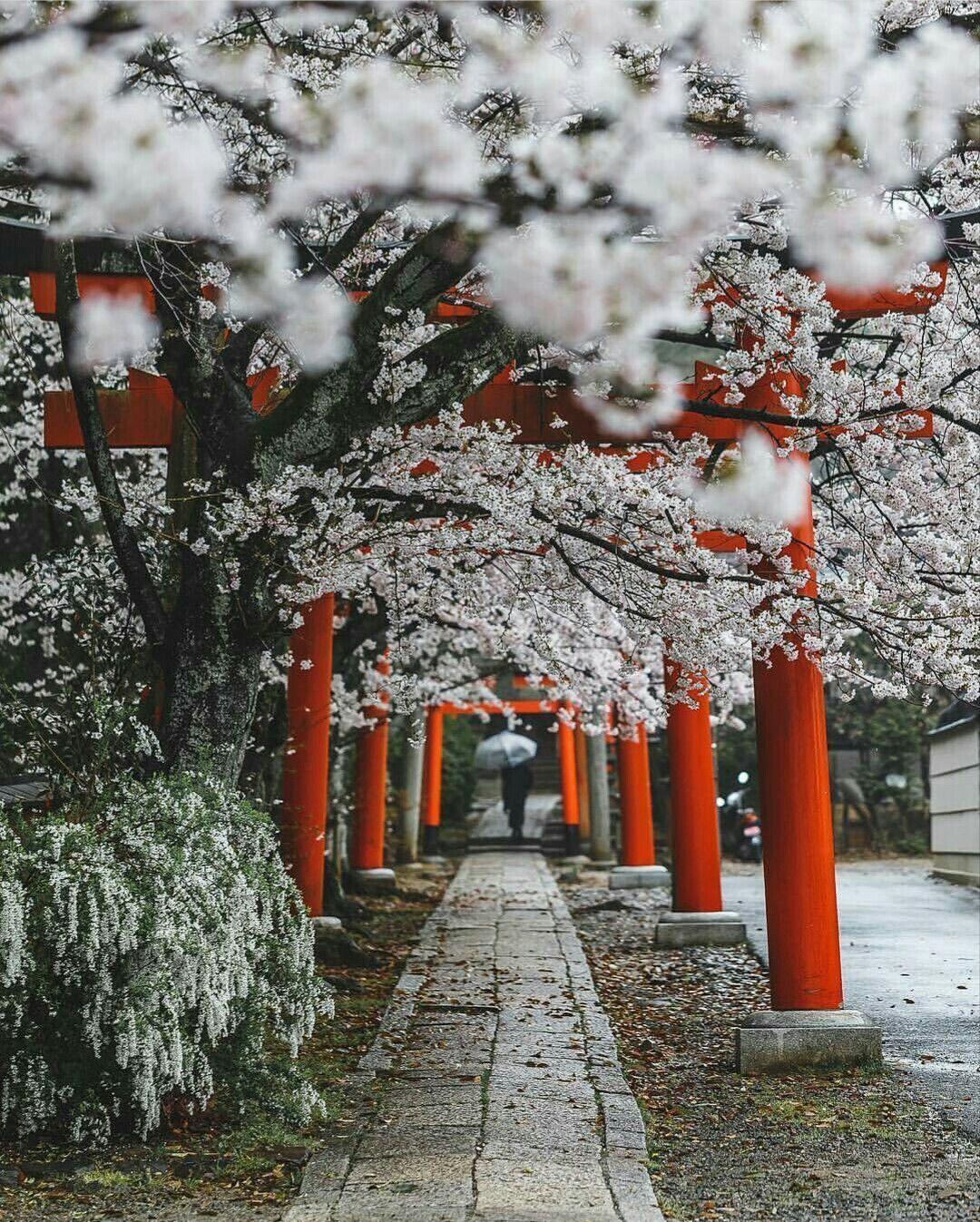1080x1347 Korean Winter Aesthetic Wallpaper