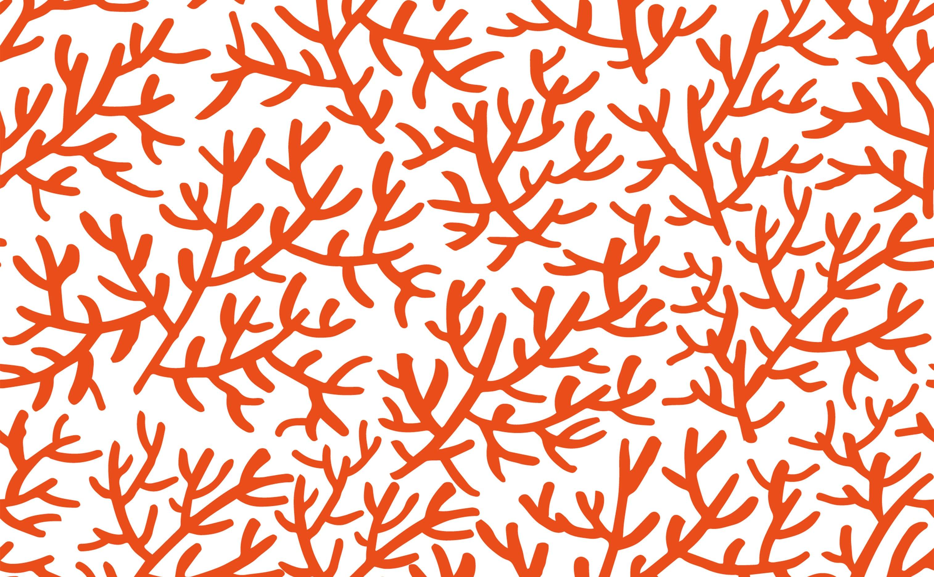 Coral Blue Wallpapers Top Free Coral Blue Backgrounds WallpaperAccess