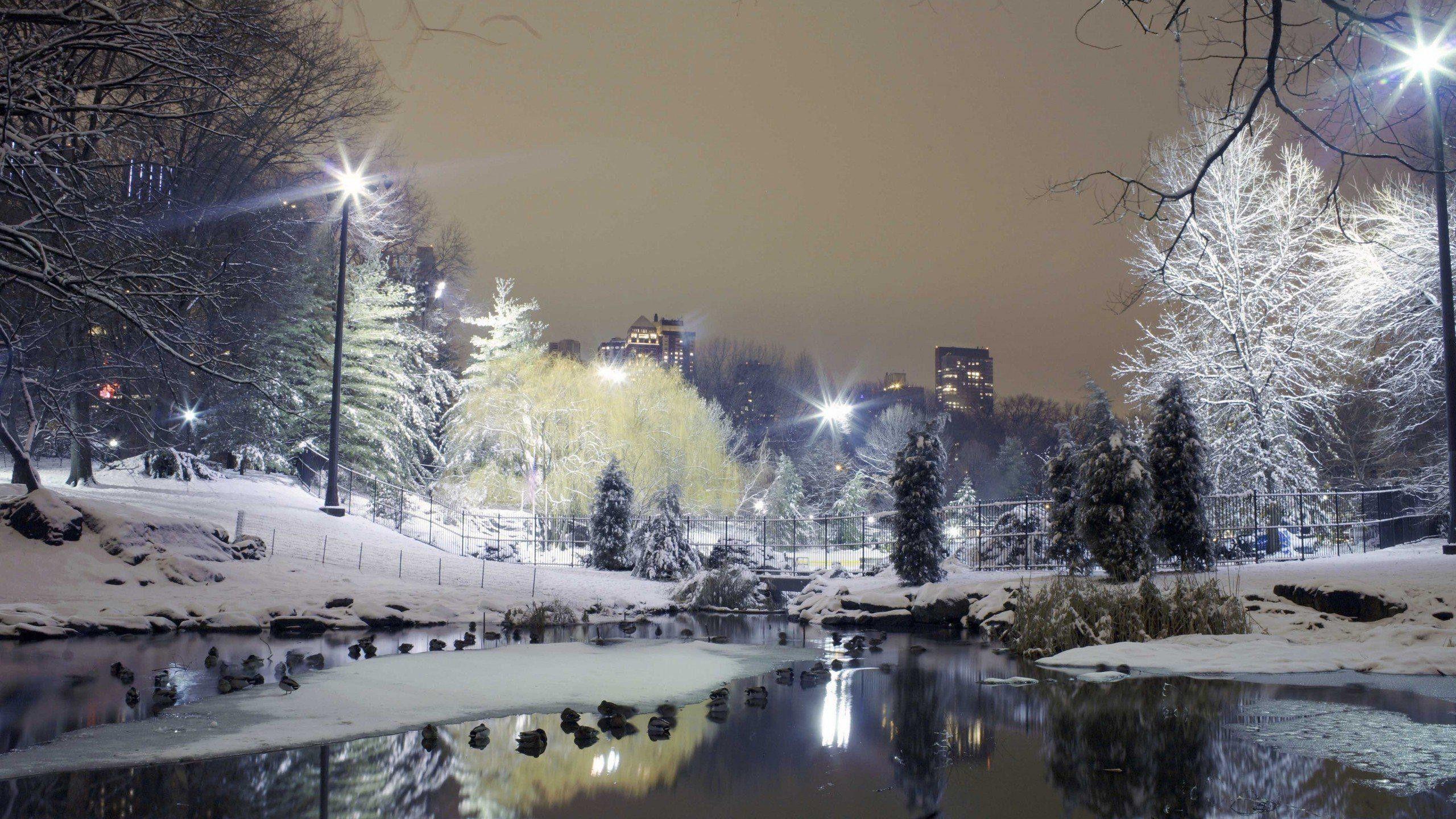 2560x1440 Winter Wallpaper