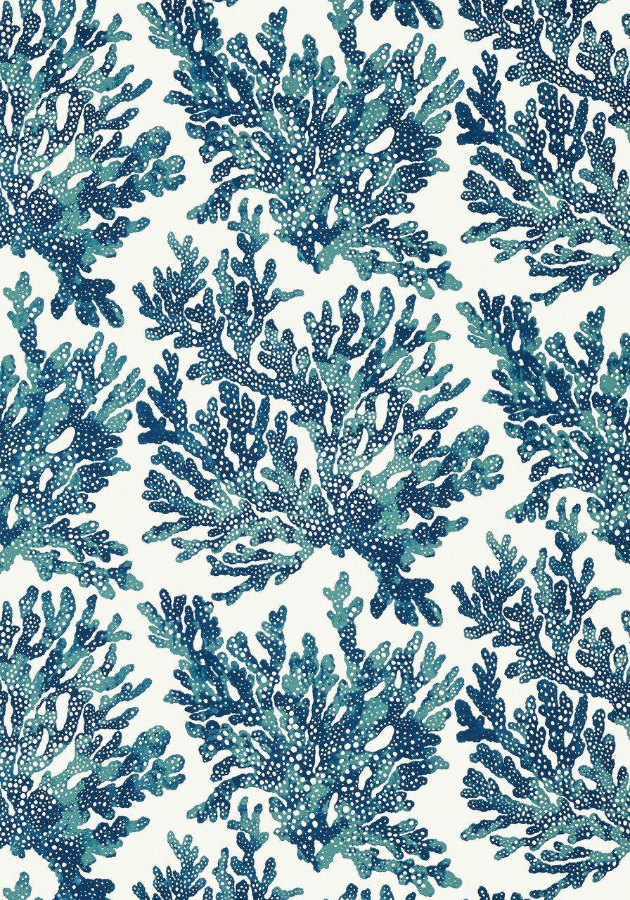 Coral Blue Wallpapers - Top Free Coral Blue Backgrounds - WallpaperAccess