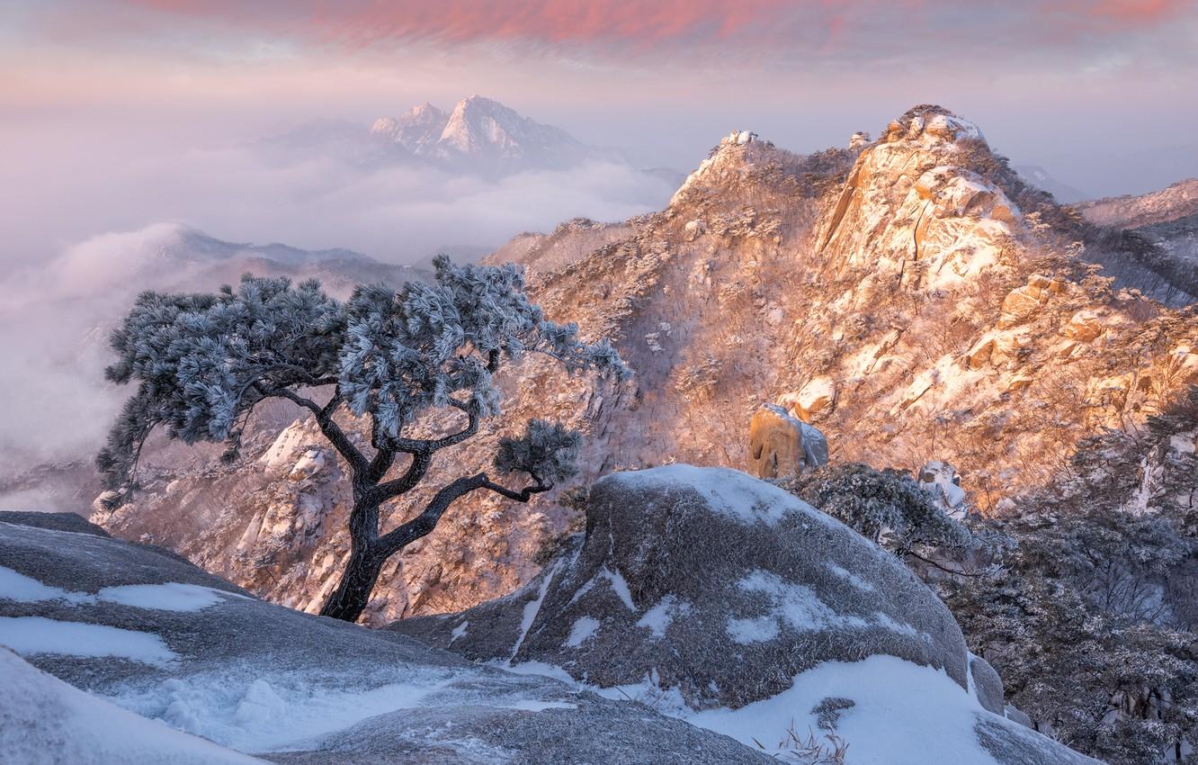 1332x850 Wallpaper winter, clouds, snow, landscape, mountains, nature, tree, rocks, tops, pine, South Korea, reserve, Pukhansan, Dobongsan, Bukhansan image for desktop, section пейзажи