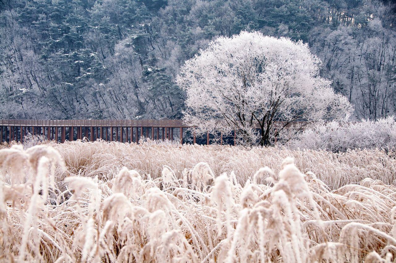 1280x850 Winter Desktop Wallpaper Tumblr