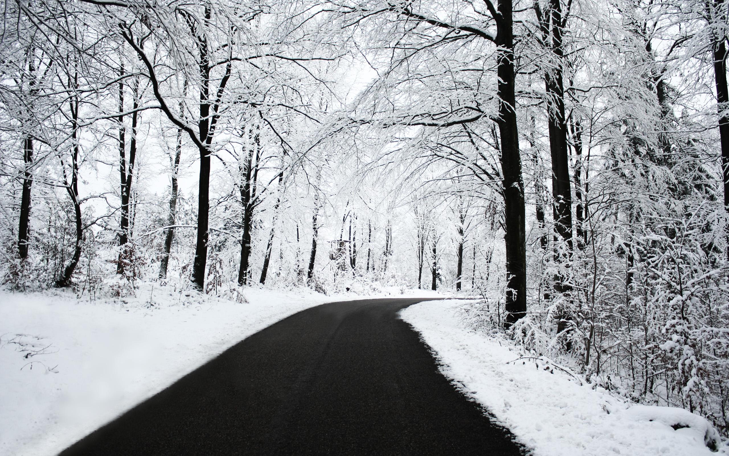 2560x1600 Free download snow background for desktop falling snow background for desktop [2560x1600] for your Desktop, Mobile & Tablet. Explore Snow Desktop Background. Snow Wallpaper For Desktop Free, Beautiful Winter