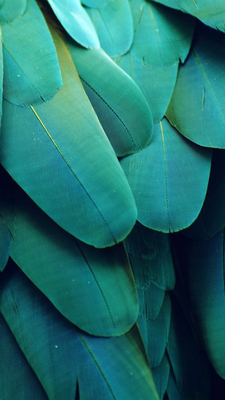 750x1334 iPhone7papers feathre green nature texture animal pattern