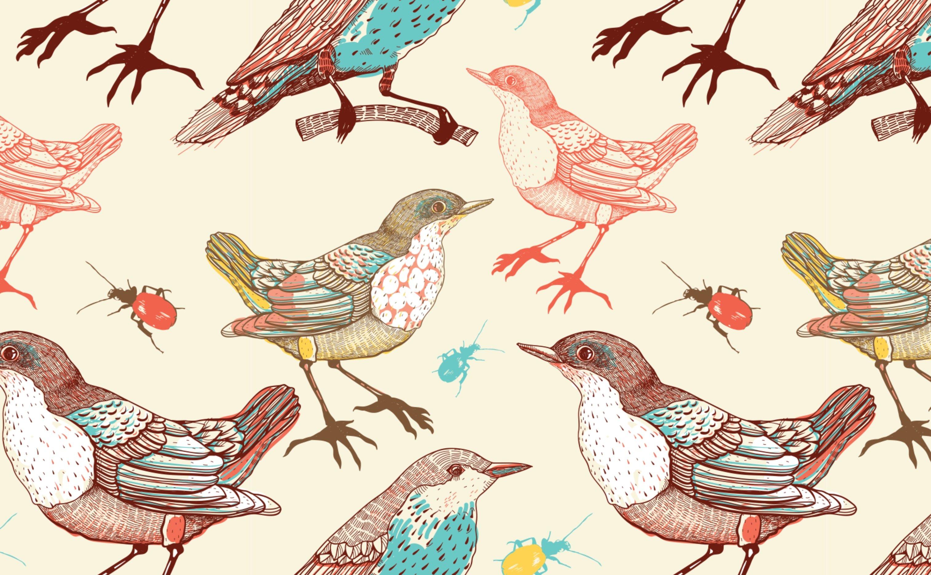 3028x1872 Pastel Birds Wallpaper for Walls. Birds and Beetles