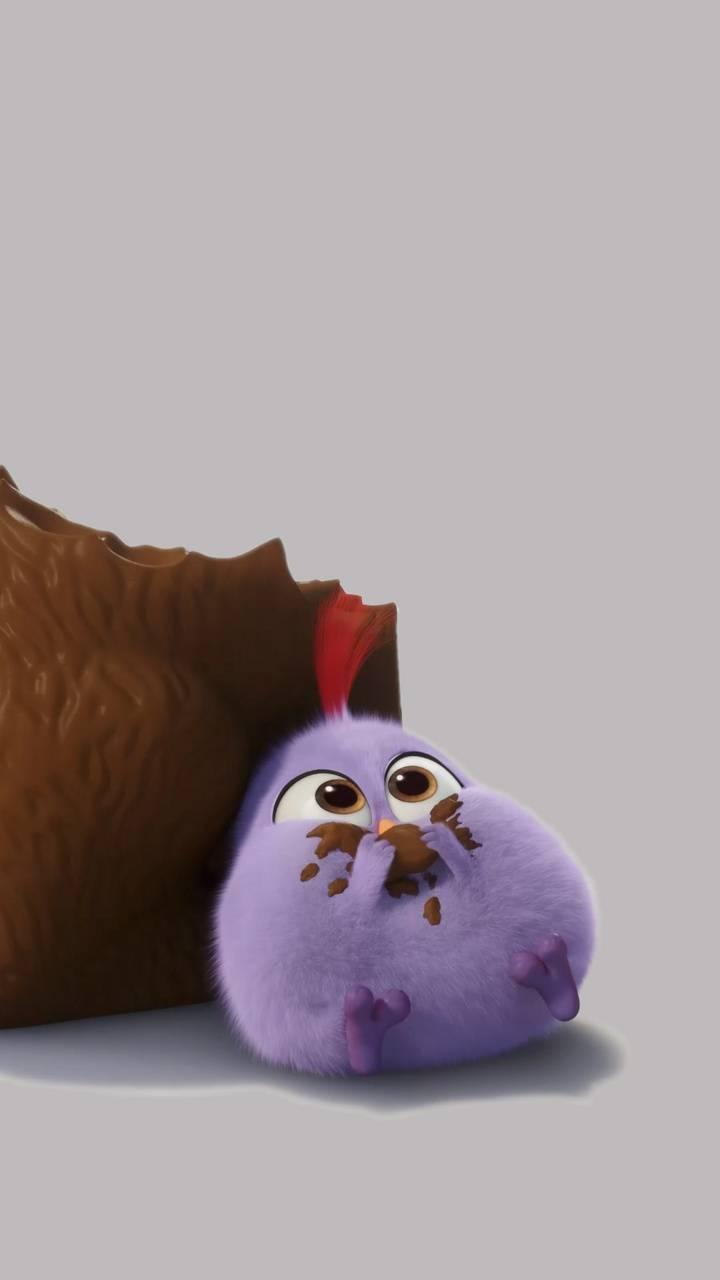 720x1280 Download Baby Bird HD Wallpaper and Background