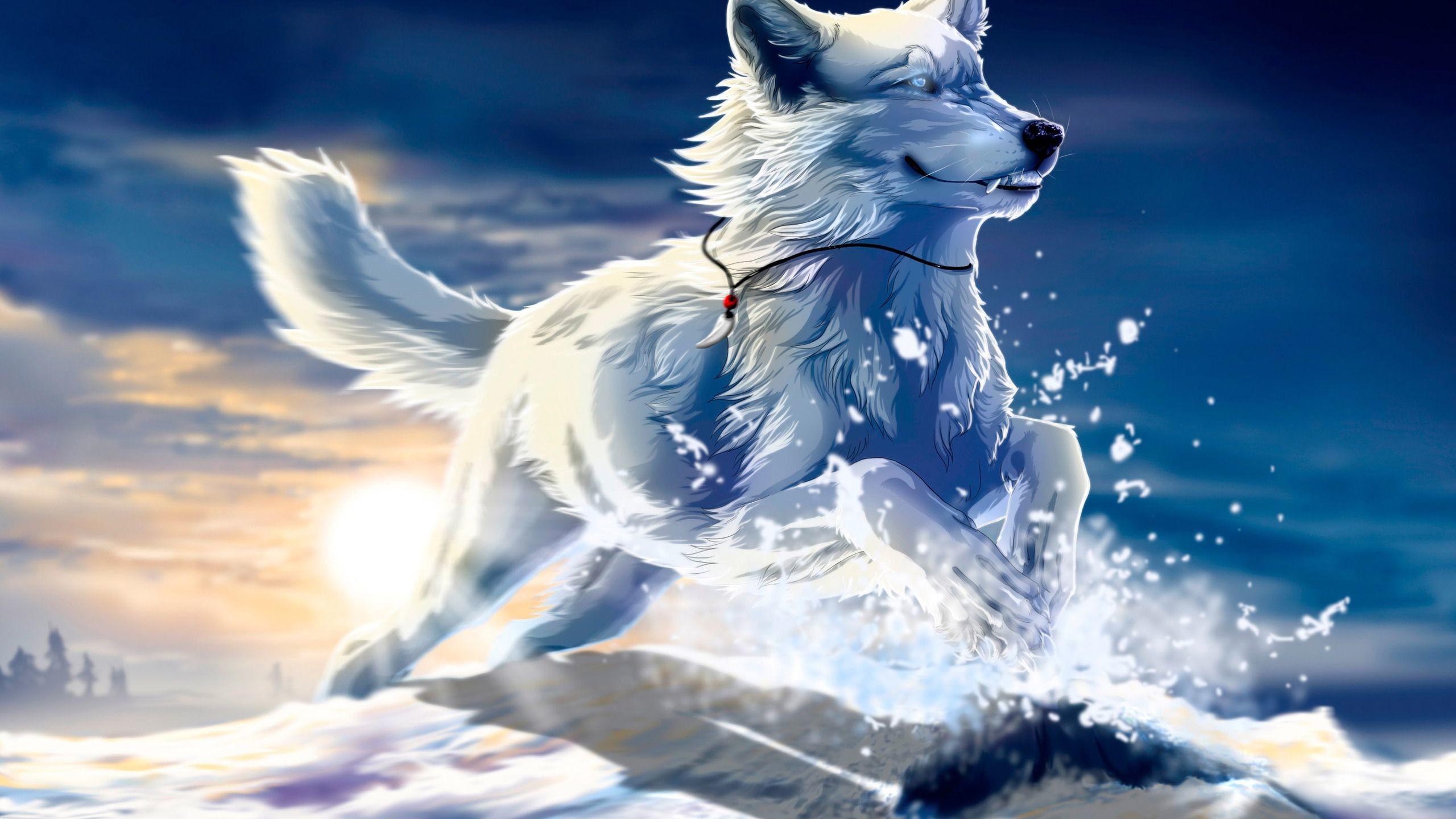2560x1440 White Wolf Wallpaper (best White Wolf Wallpaper and image) on WallpaperChat