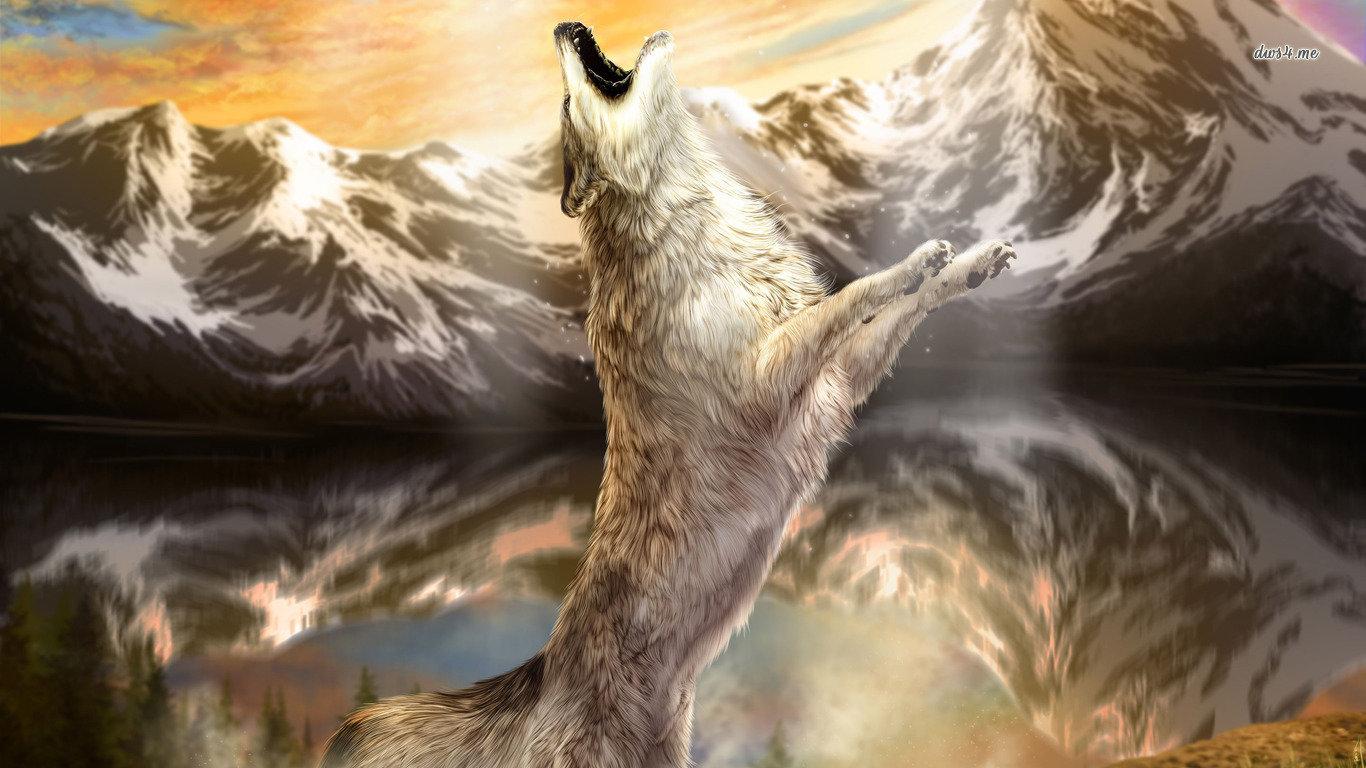 1366x768 Wolf wallpaper 1366x768 (laptop) desktop background