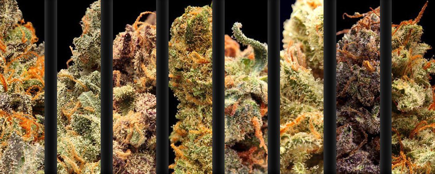 1413x565 Choices Monitor Wallpaper