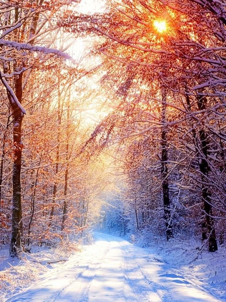 768x1024 Winter Sun iPad Wallpaper Desktop Background