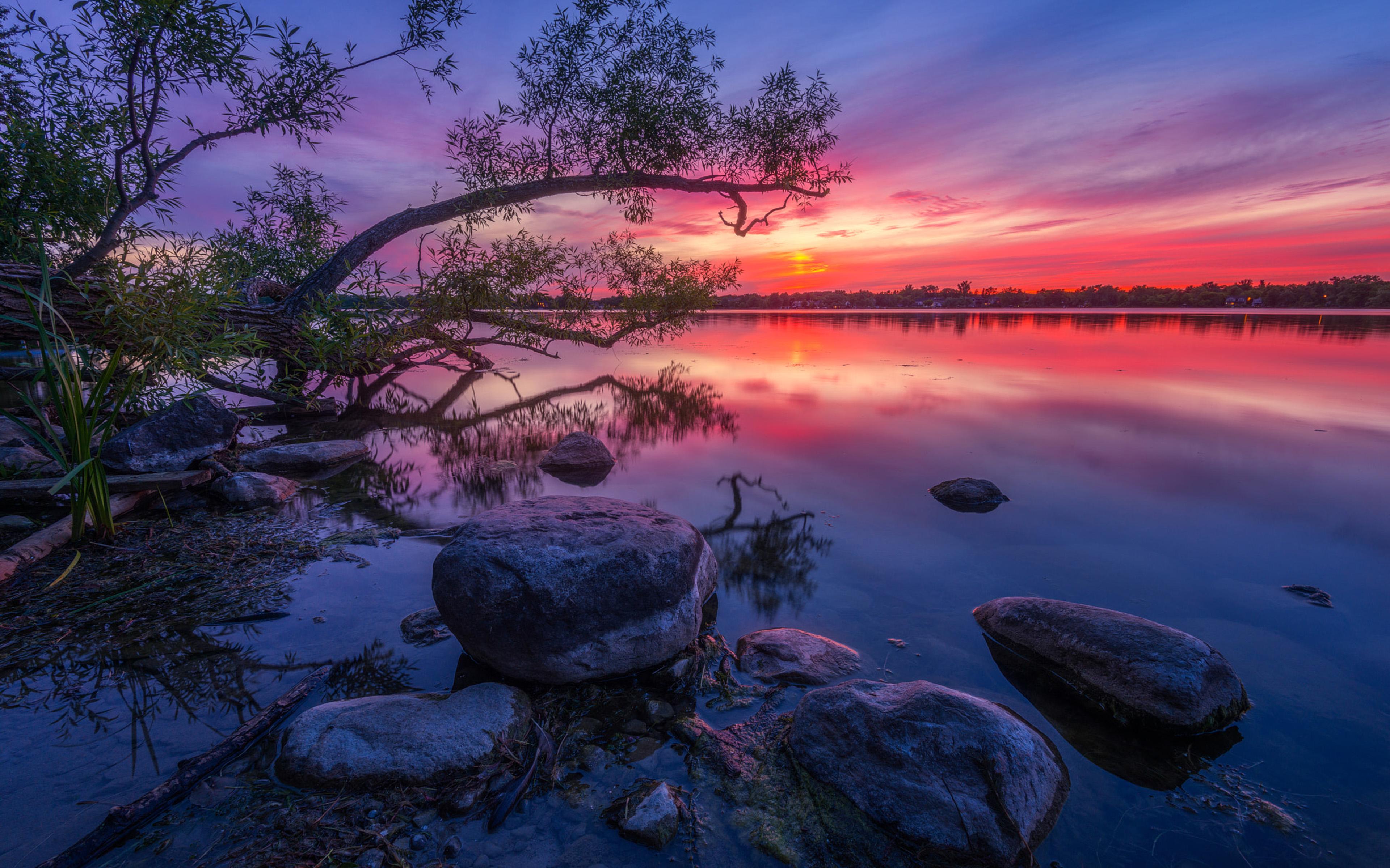 3840x2400 Wilcox Lake Ontario Canada Red Sunset Dusk Wood Willow Stone Reflection In Water HD Desktop Wallpaper For Computers Tablet And Mobile Phones 3840x2400 :