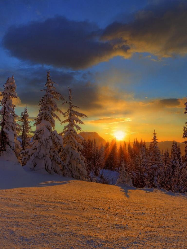 768x1024 Winter Sun iPad wallpaper