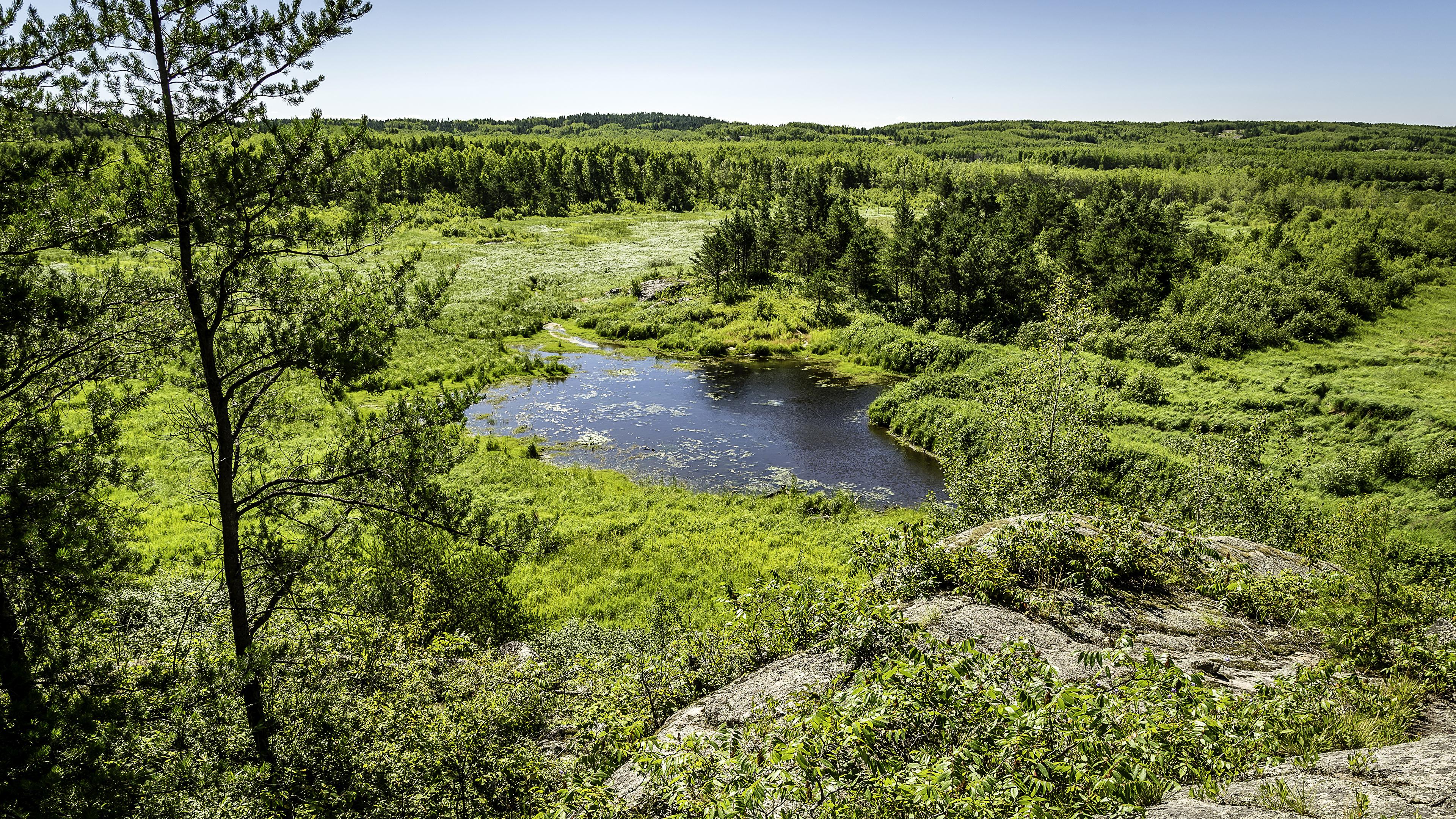 3840x2160 Desktop Wallpaper Canada Ontario Nature Lake Trees 3840x2160