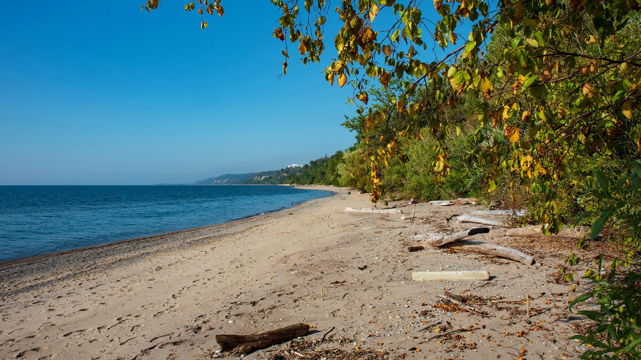 2560x1440 image Nature Canada beach Lake Ontario Branches Beach 2560x1440