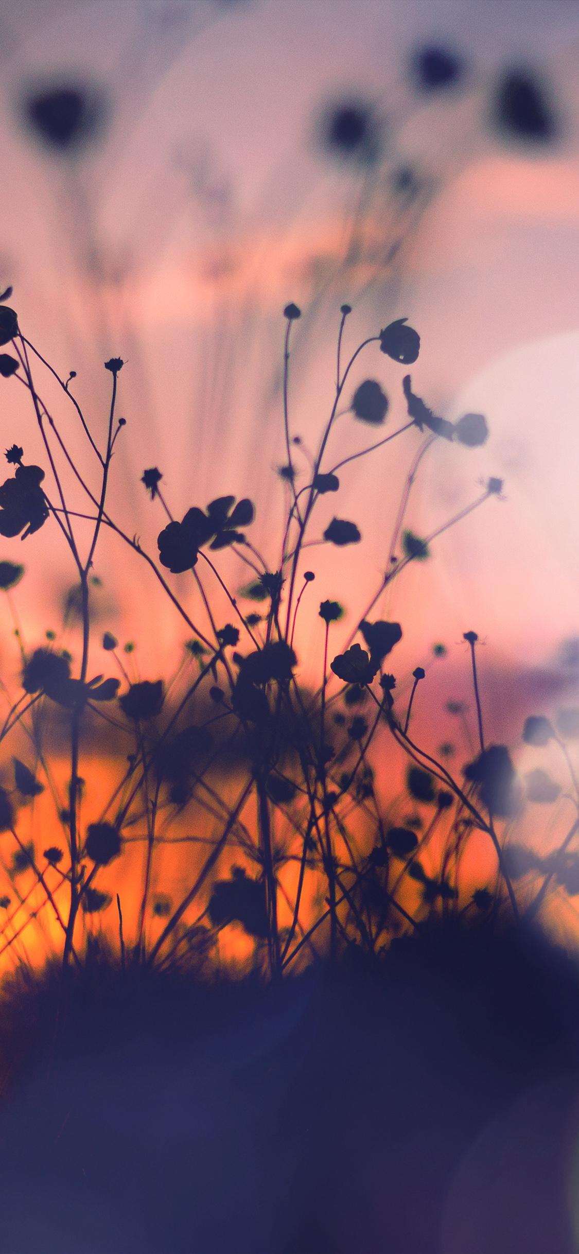 1125x2436 iPhone X wallpaper. night nature flower sunset dark shadow red flare