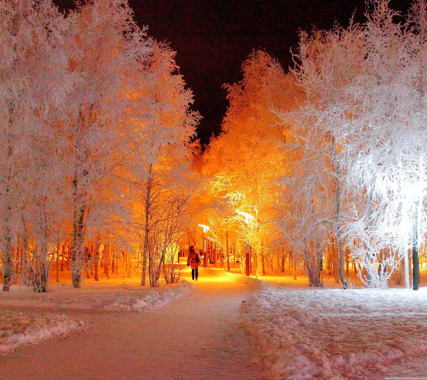 1440x1280 Winter Screen Wallpaper