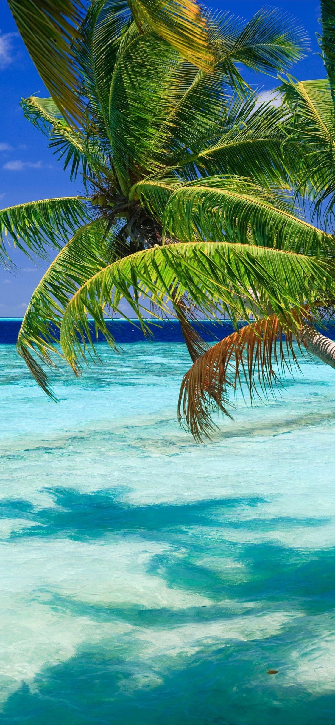 Barbados Wallpapers - Top Free Barbados Backgrounds - WallpaperAccess