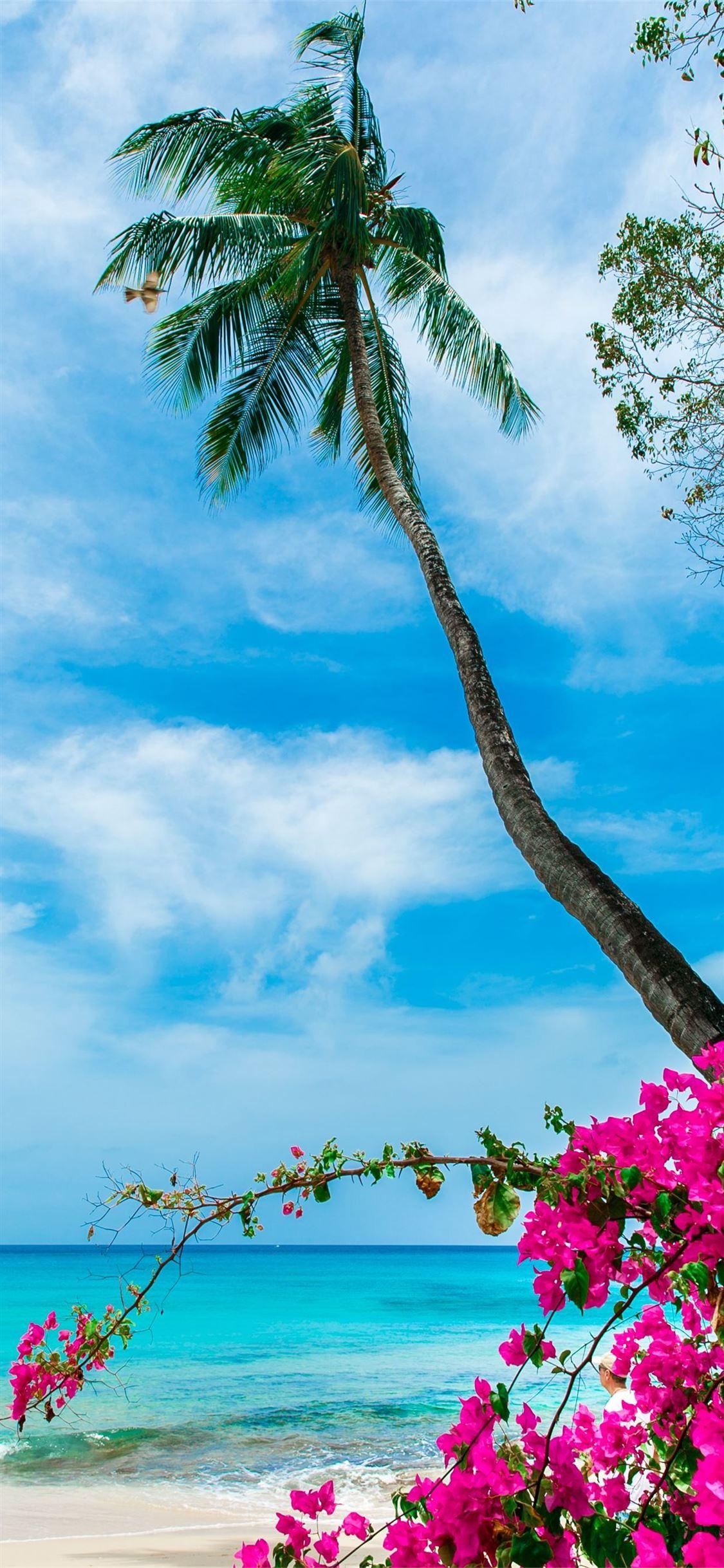1125x2436 Best Barbados iPhone 11 HD Wallpaper