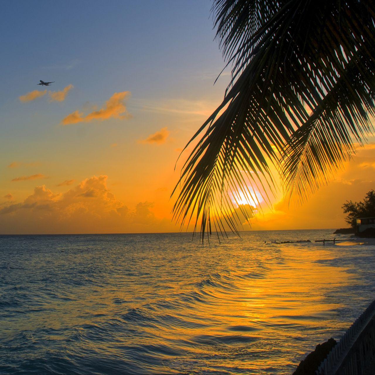 1280x1280 Download wallpaper 1280x1280 ocean, sunset, palm, beach, barbados ipad, ipad ipad mini for parallax HD background