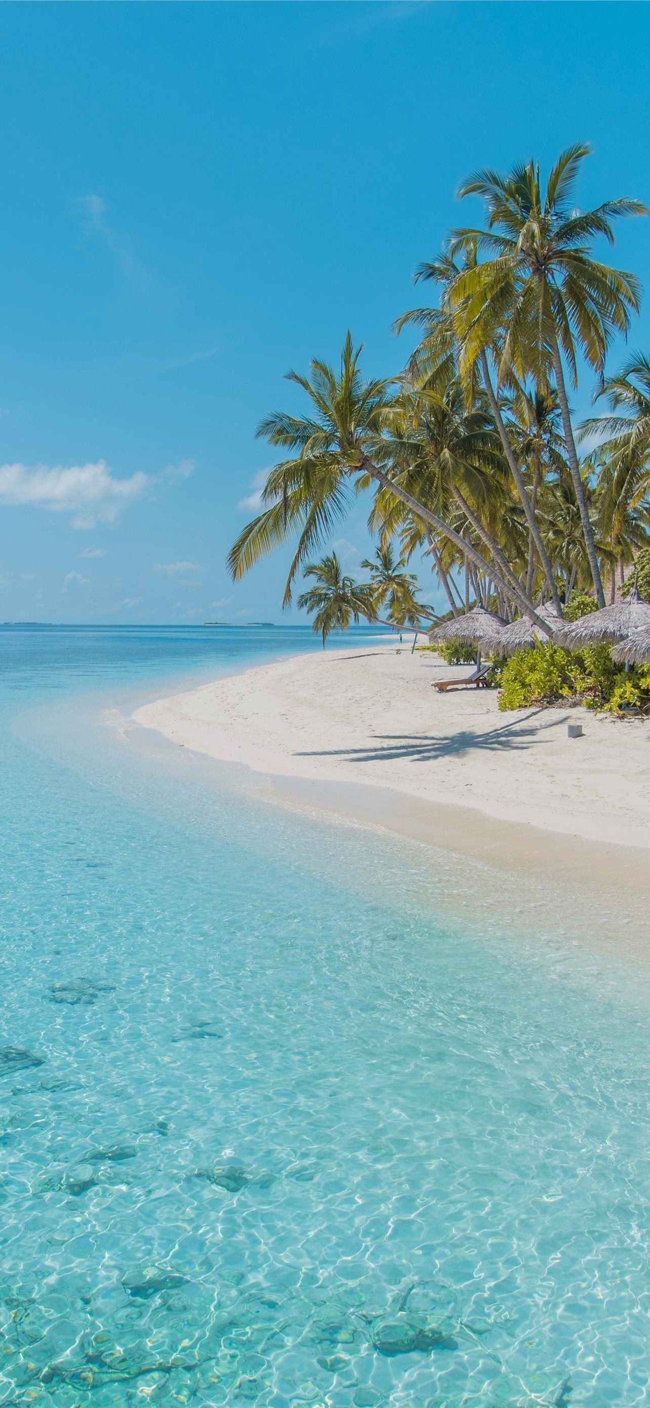 1284x2778 barbados iPhone Wallpaper Free Download