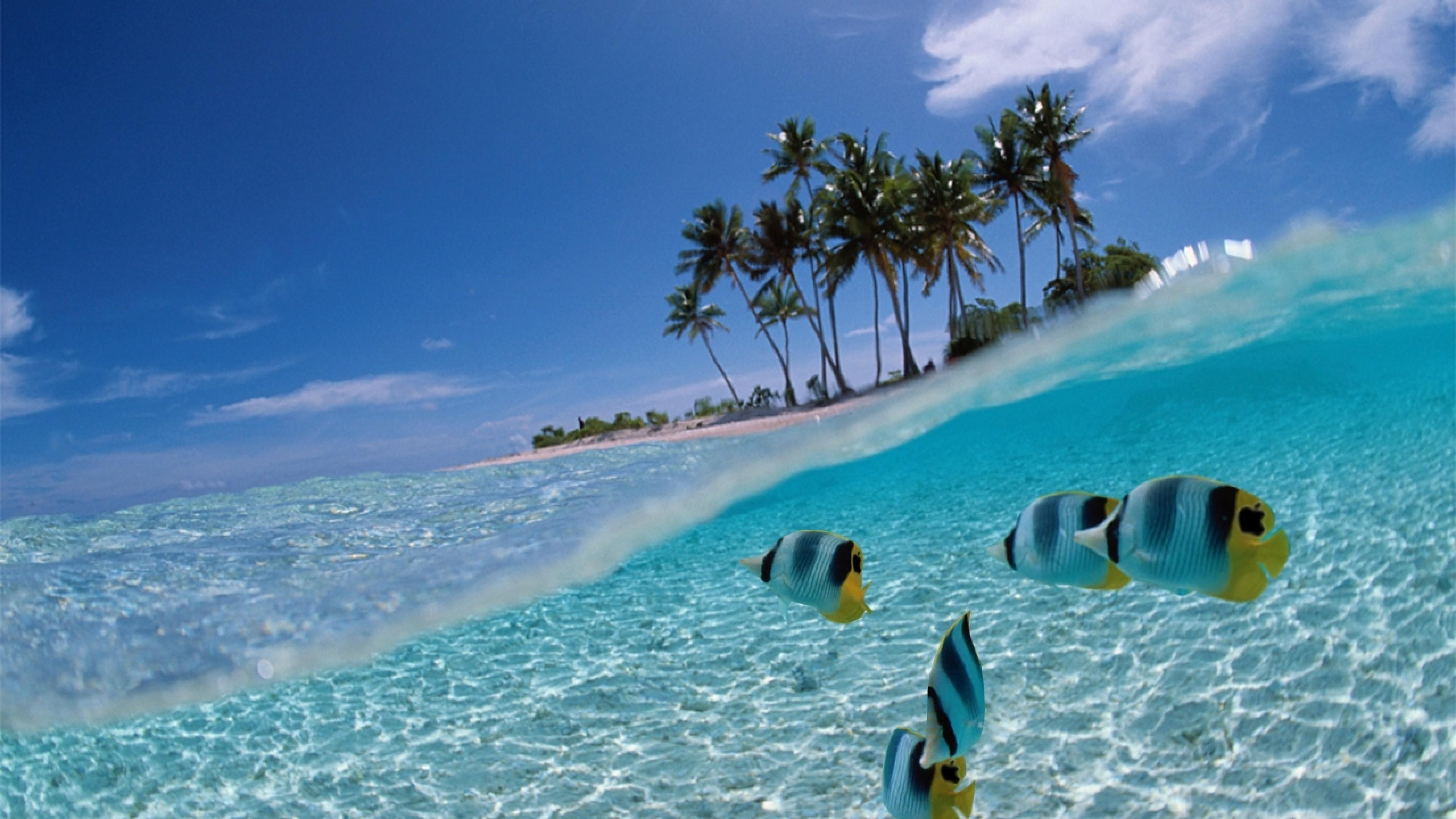 3840x2160 Barbados Vacations 2018 HD Wallpaper 4K Ultra HD Wallpaper .net