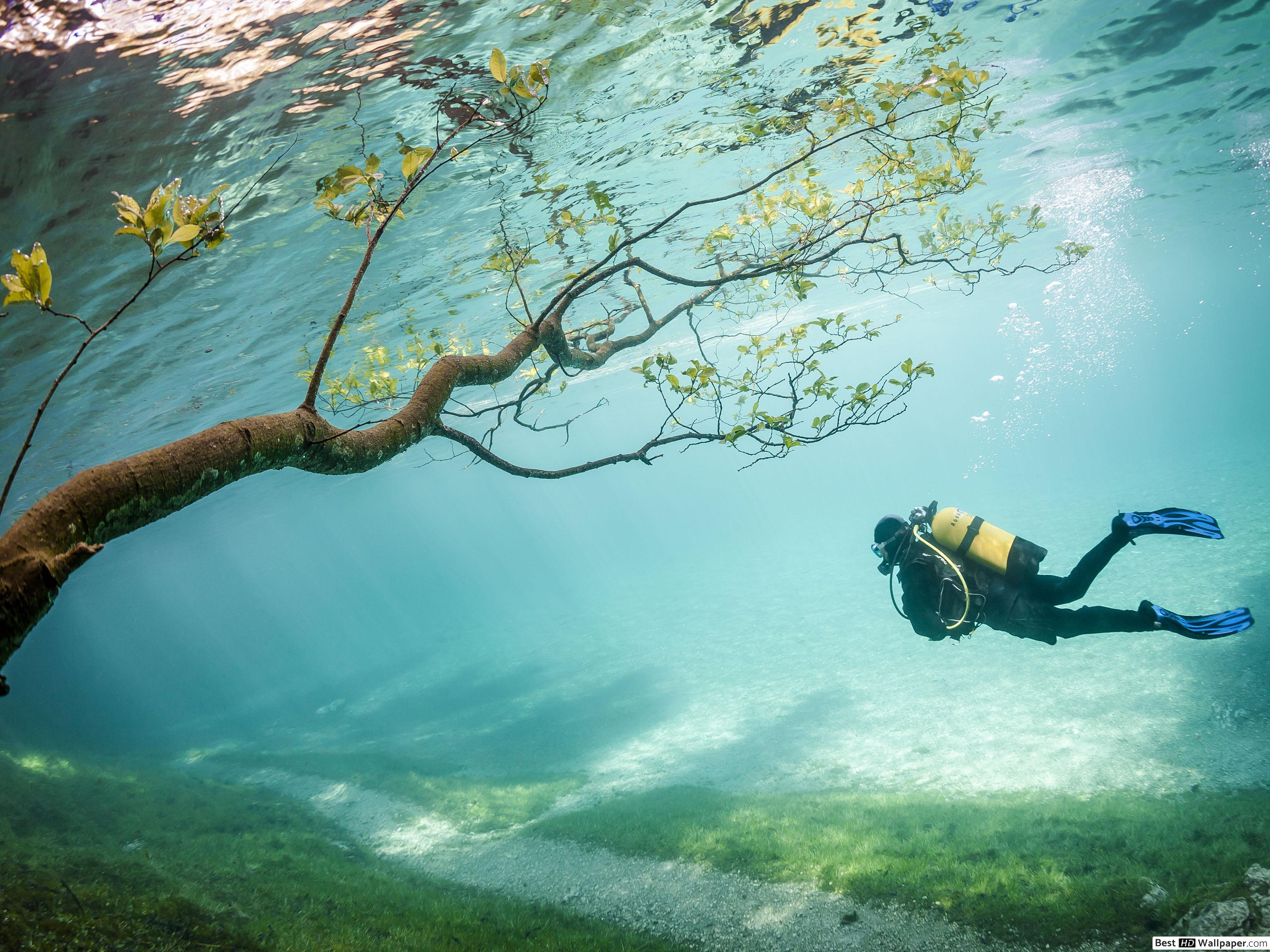 3200x2400 Underwater Scuba Diving HD wallpaper download