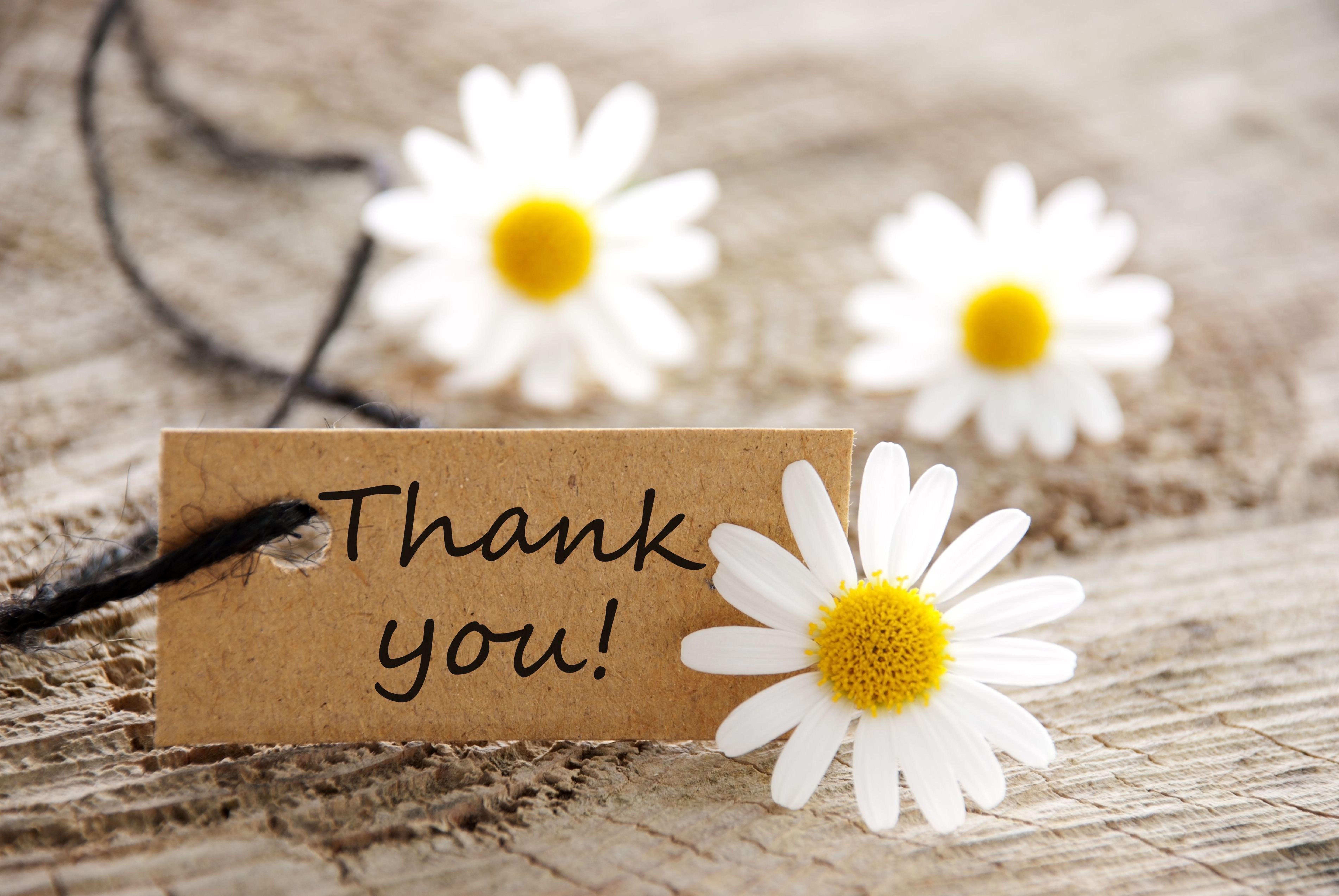 7608x5092 image Of Thank You Flowers Wallpaper Picture with HD Wallpaper