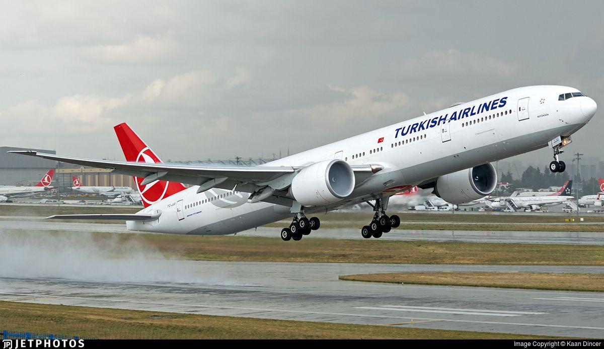1200x694 Turkish airlines ideas. turkish airlines, airlines, turkish