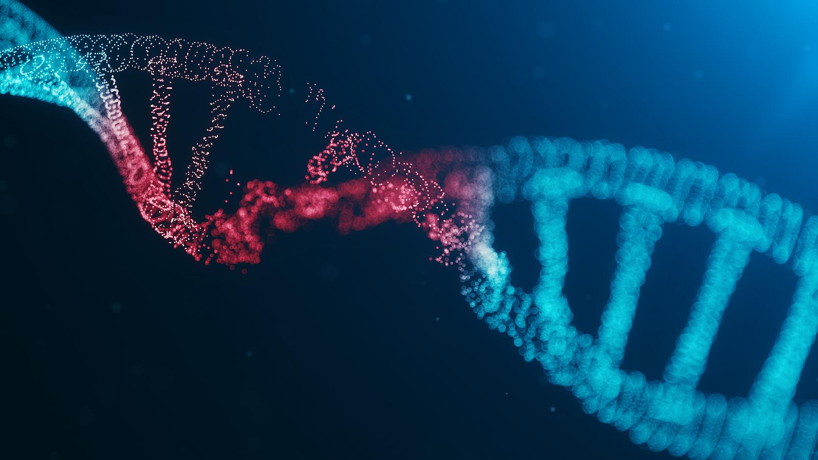 1600x900 JAX aids National Human Genome Research Institute in research