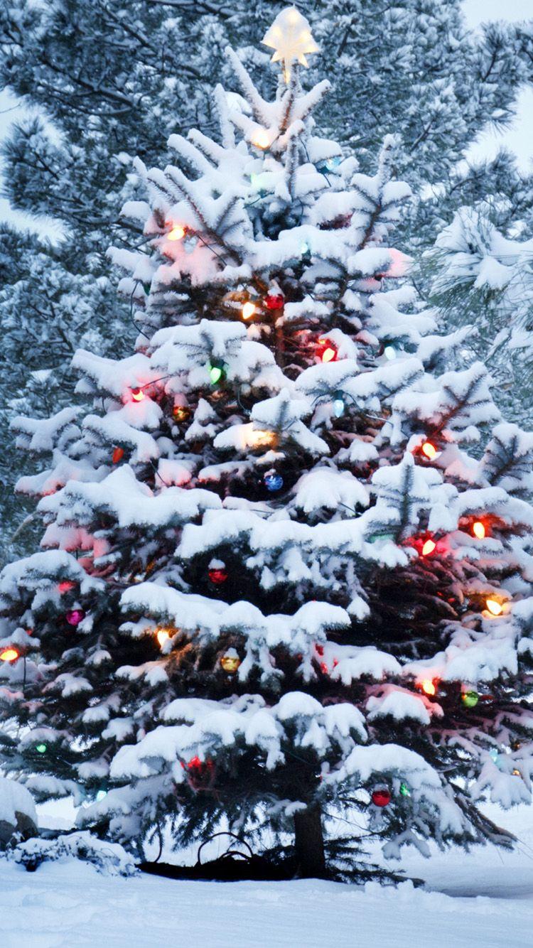 750x1334 HD Wallpaper For IPhone 6s 6 5s 5