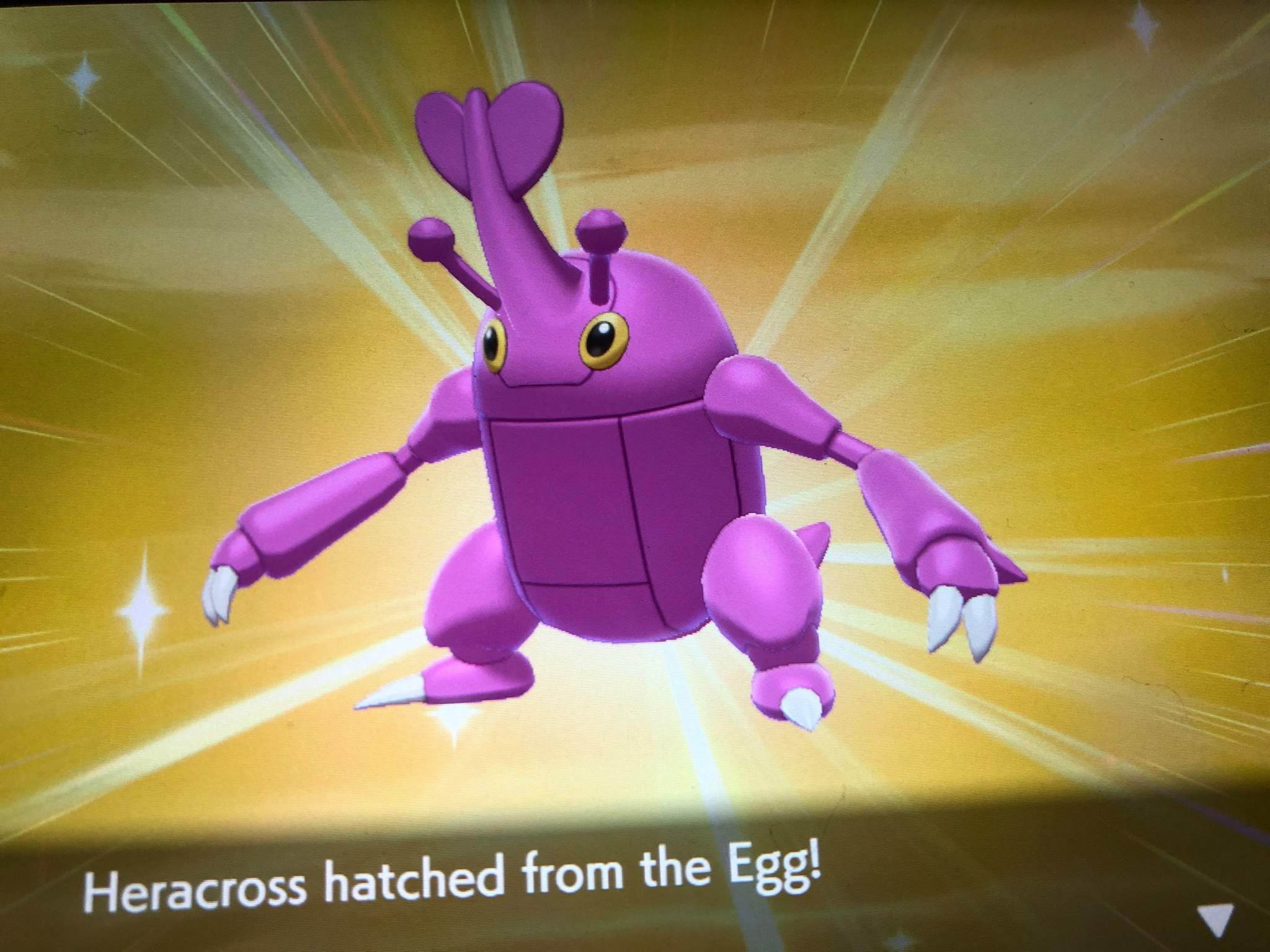 2048x1536 Shiny Heracross in 41 eggs! (Edit). Pokémon Amino