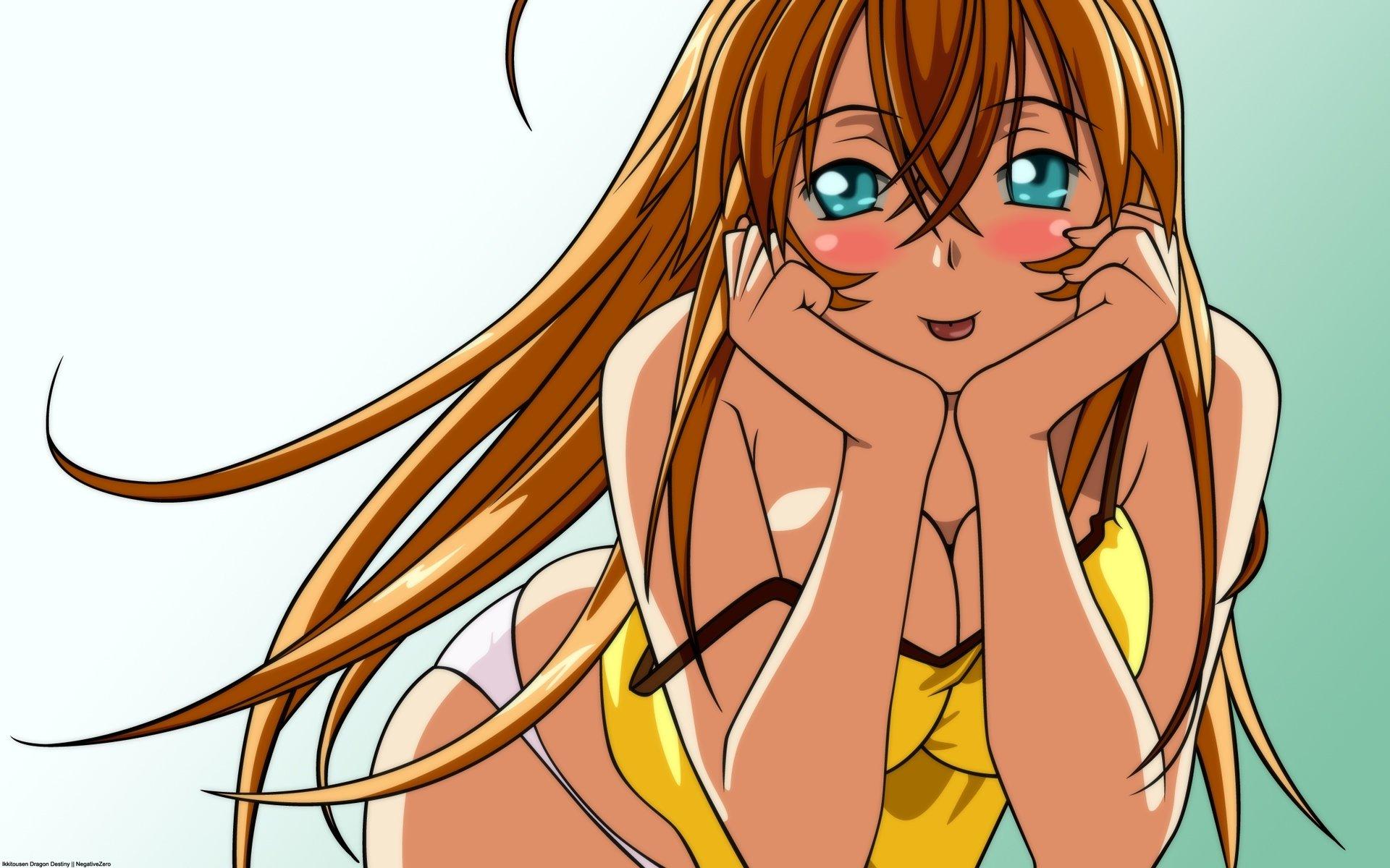 1920x1200 Ikki Tousen HD Wallpaper