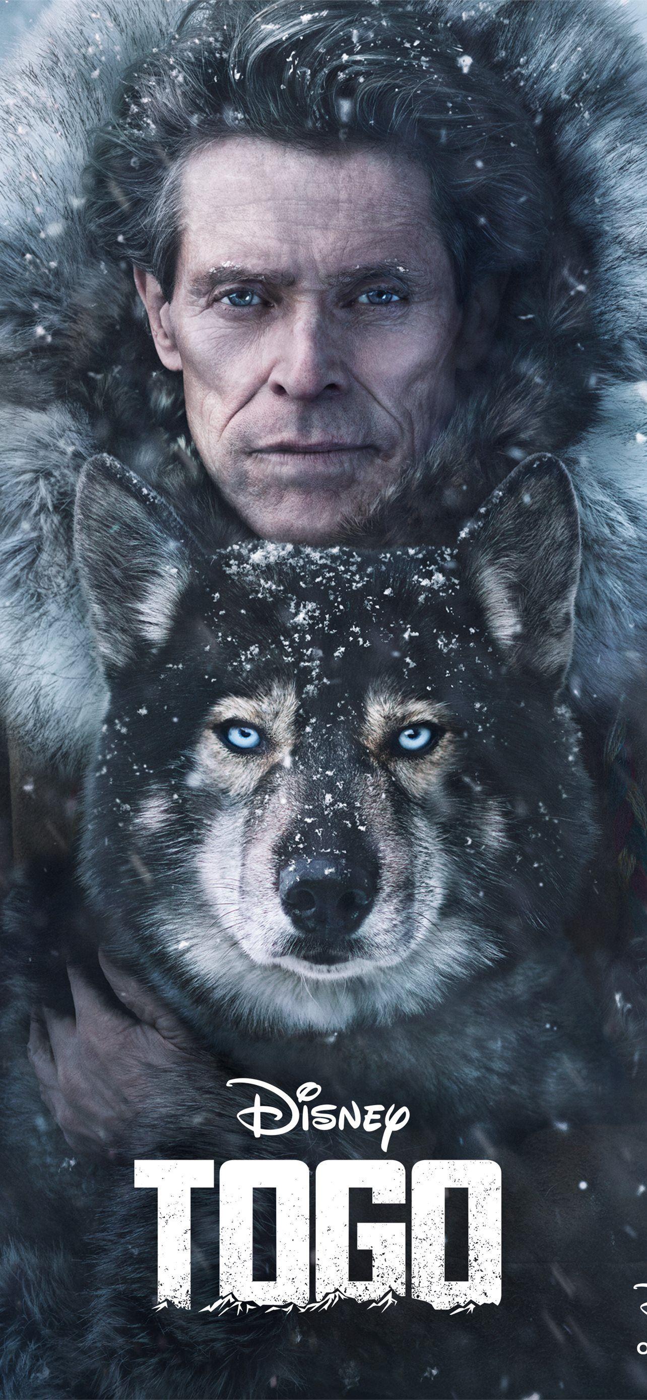 1284x2778 togo iPhone Wallpaper Free Download