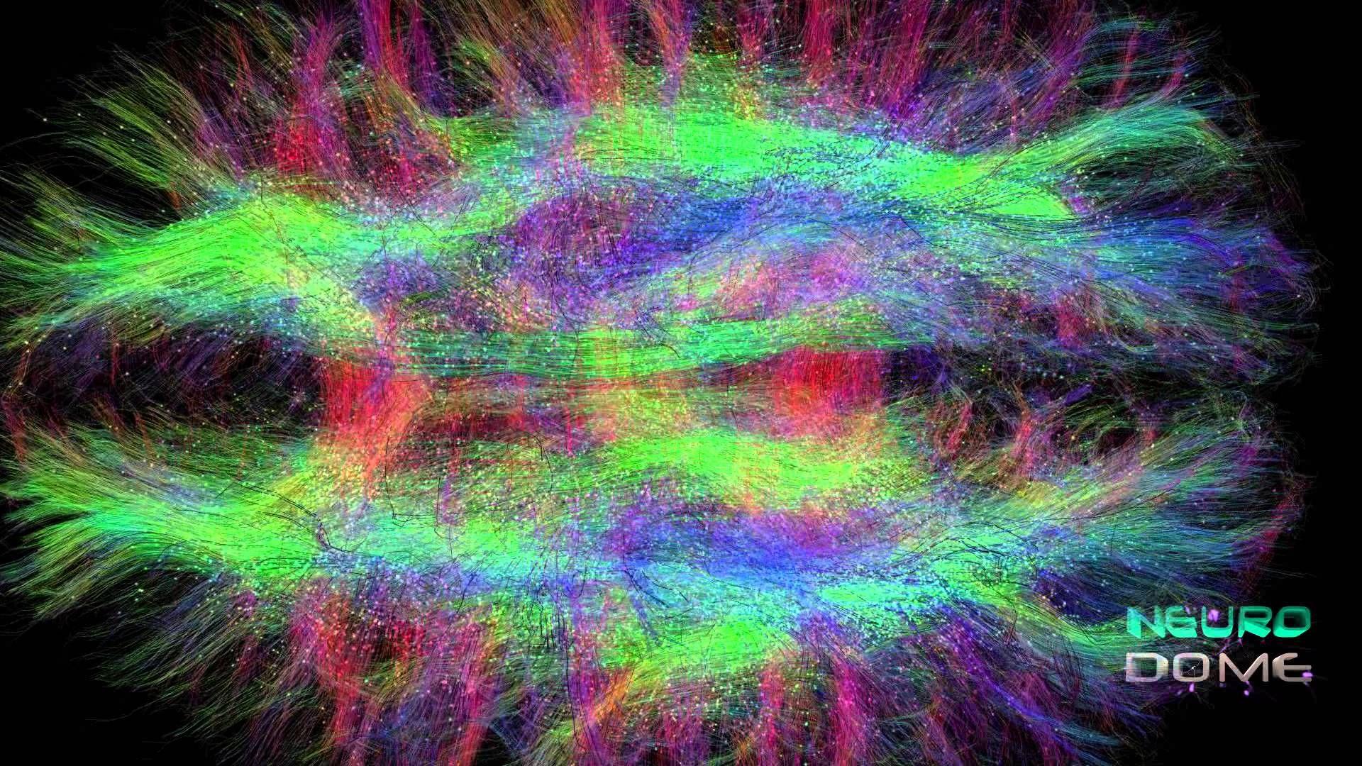 1920x1080 Diffusion Tensor Imaging (DTI) revealing connectivity in the brain. Diagnostic imaging, Electron microscope image, Brain art