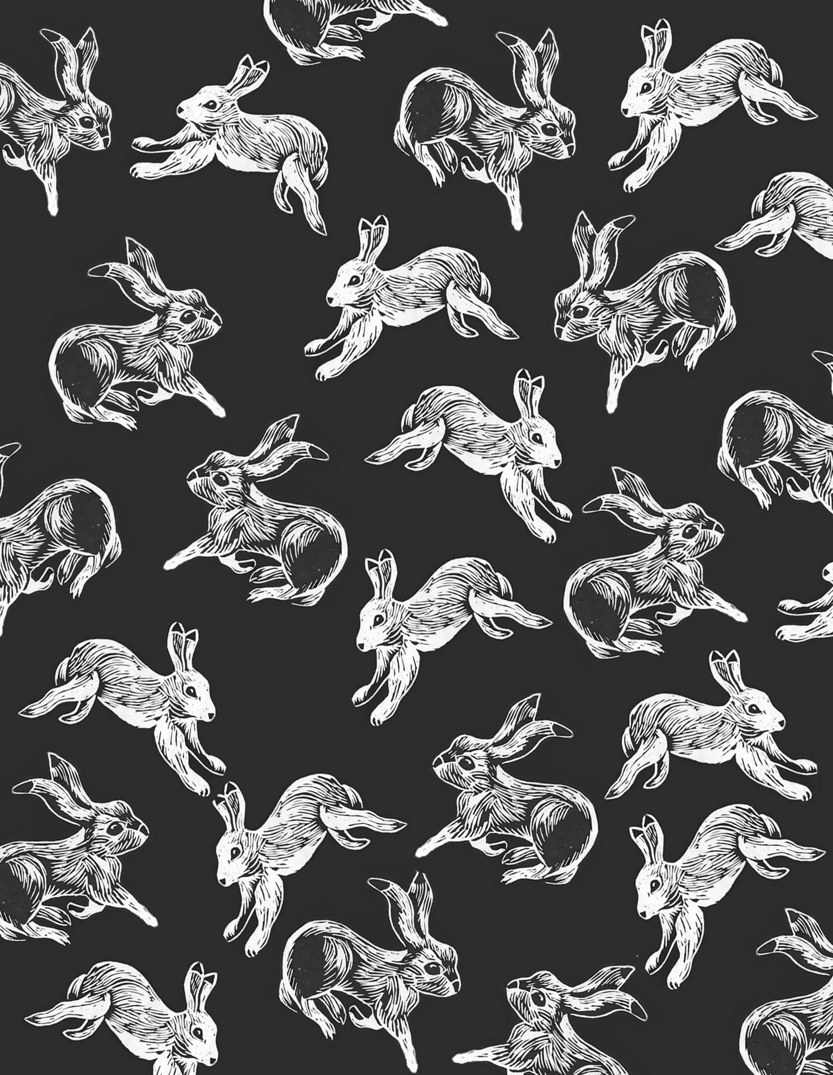 Black and White Bunny Wallpapers Top Free Black and White Bunny