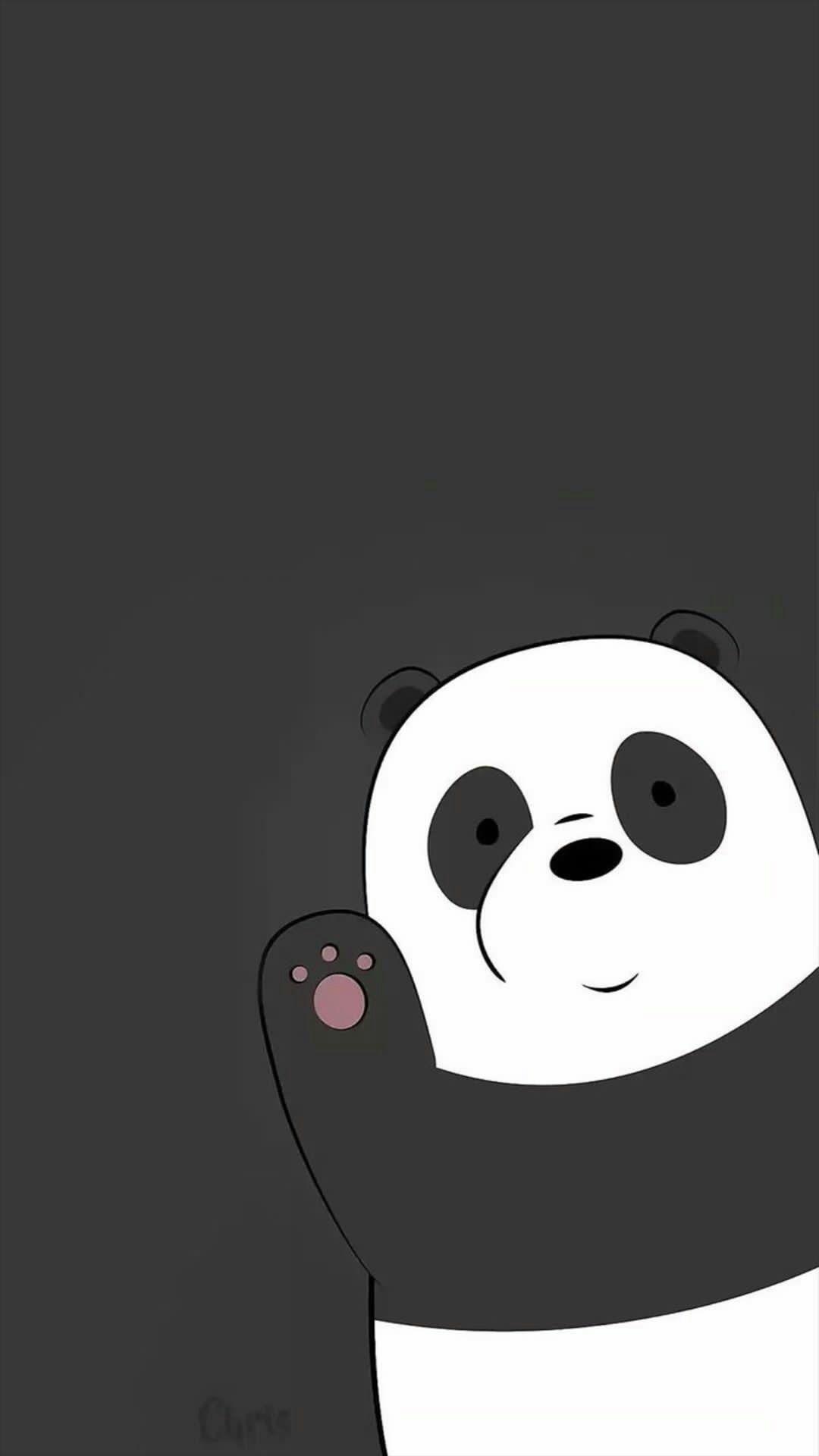 Black Panda Wallpapers - Top Free Black Panda Backgrounds - WallpaperAccess