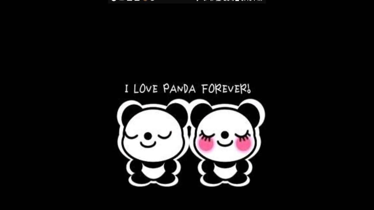 1280x720 Panda Wallpaper
