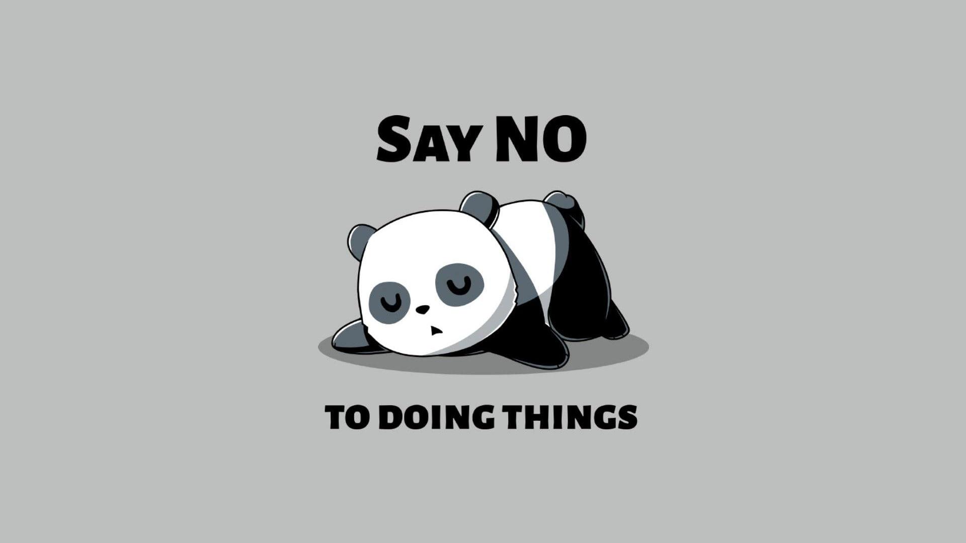 1920x1080 Panda Picture & Wallpaper