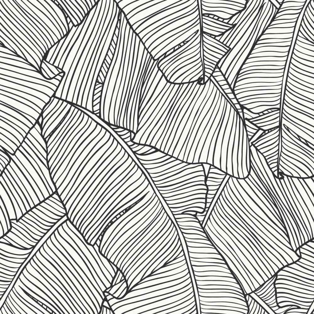 1000x1000 Banana Leaf Wallpaper UK. Banana Leaf Wallpaper Mono